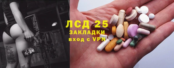 гидра Магас