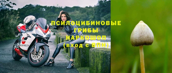 гидра Магас